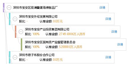 深圳市寶安區(qū)觀瀾疊建海綿制品廠網(wǎng)站建設(shè)方案